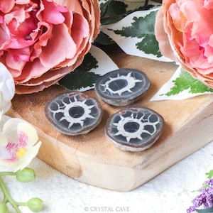 Raw Septarian Disk Pair / Rough Natural Stone Lump / Crystal Decoration Interior Sculpture Mini Cluster Nugget Gemstone Geode Witch Altar