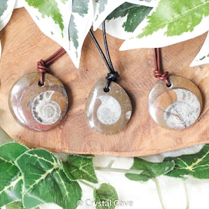 Gonatite Ammonite Polished Necklace Pendant - Drilled Stone Jewelry Bead Pierced Smooth Iridescent Opalized Fossil Health Prosperity Success