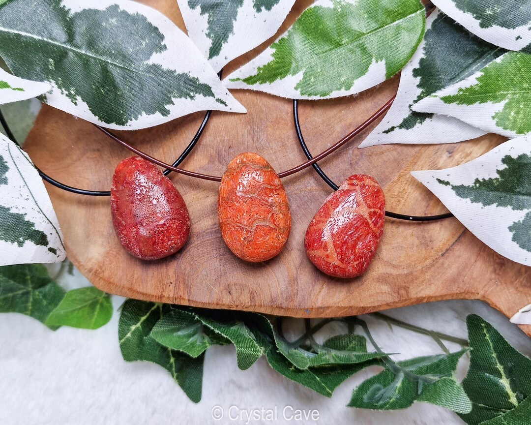 Red Foam Coral Polished Necklace Pendant Pierced Drilled Stone Jewelery