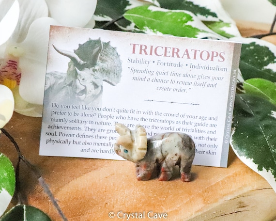 Soapstone Triceratops - Spirit Animal Totem Power Gemstone Crystal