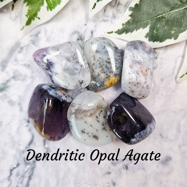 Dendritic Opal Agate Crystal - Tumbled Stone Polished Gemstone / Gentleness Peace Confidence Mystic Merlinite Dendritic Dendrites Australia