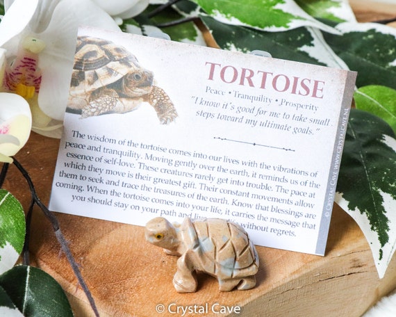 Soapstone Tortoise Spirit Animal Totem Power Gemstone - Etsy Soapstone Tortoise Spirit Animal Totem Power Gemstone - Etsy