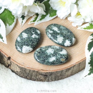 Preseli Bluestone Pocket Stone Palm Stone - Hand Stone Cabochon Natural Polished Crystal Gemstone Flat Disk Tumbled Worry Thumb Stonehenge