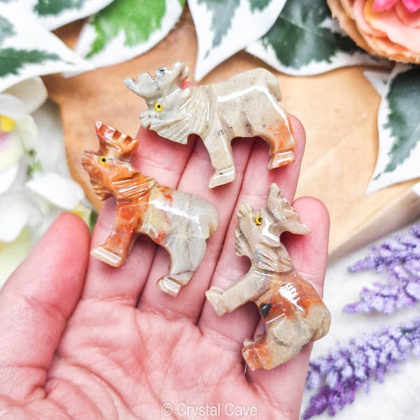 Souvenir animal décédé