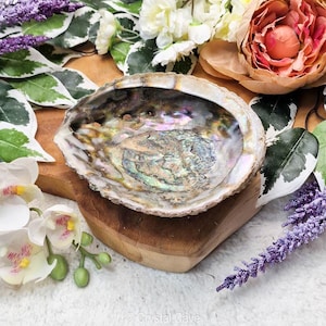 Abalone Shell / Smudge Home Cleansing Smudging Meditation Wealth Happiness Abundance Spiritual Sage Water Offering Mother of Pearl Shells