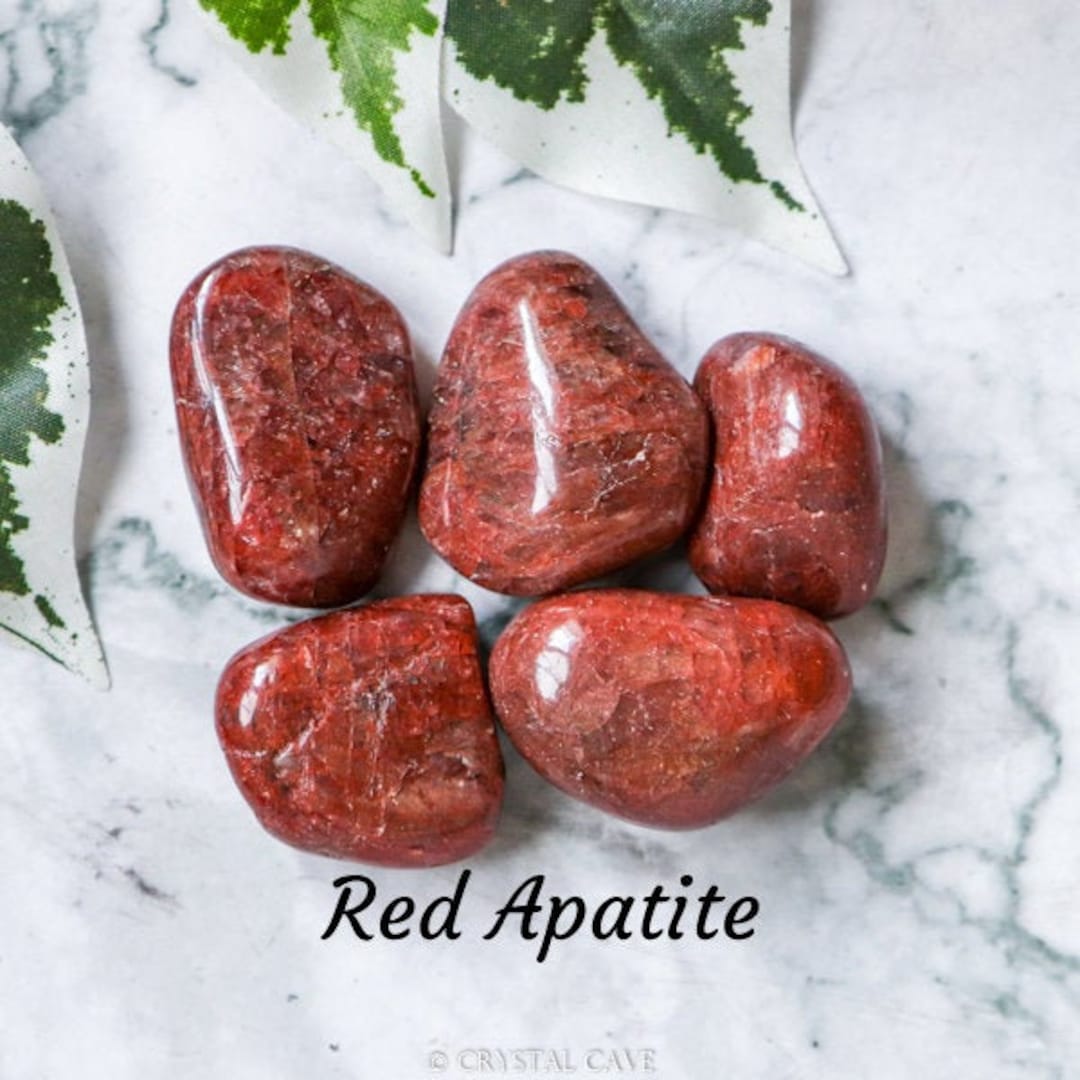 Red Apatite Crystal Tumbled Stone Polished Stone Gemstone / Passion