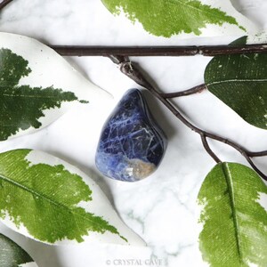 May include: A deep blue, tumbled Sodalite stone with white veins and a smooth, polished surface. The stone is resting on a white marble surface with green leaves.