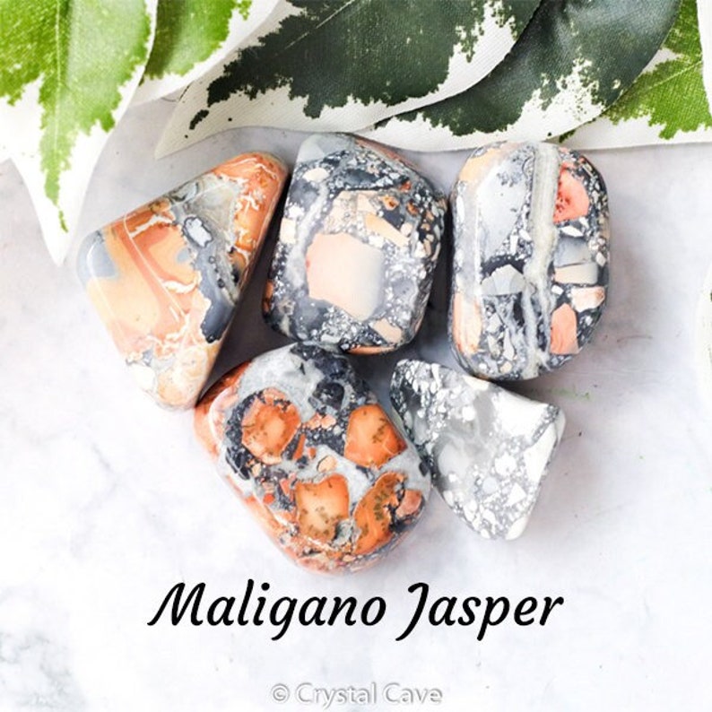 May include: Five tumbled stones of Maligano Jasper. The stones are a mix of white, gray, black, and orange. The stones are on a white background with green leaves.