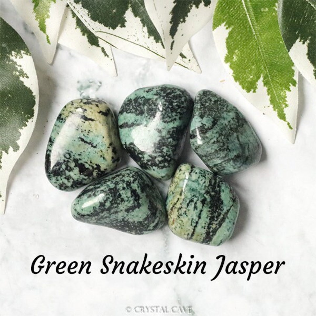 Green Snakeskin Jasper Crystal Tumbled Stone Polished Gemstone