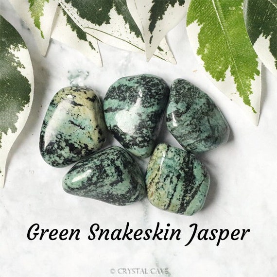 Green Snakeskin Jasper Crystal - Tumbled Stone Polished