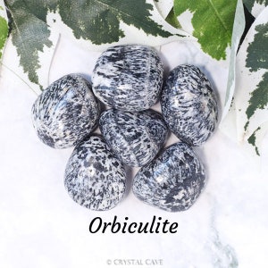 Orbiculite Crystal - Tumbled Stone Polished Gemstone / Protection Balance Diplomacy / Smooth Pebble Round Circular Granite Diorite Australia