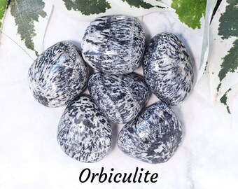 Orbiculite Crystal - Tumbled Stone Polished Gemstone / Protection Balance Diplomacy / Smooth Pebble Round Circular Granite Diorite Australia