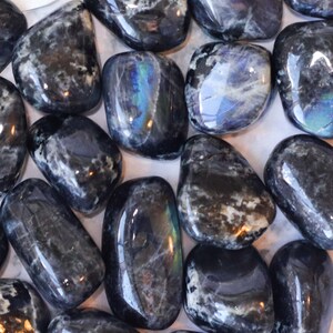 May include: A collection of smooth, polished black labradorite stones with iridescent blue and green flashes. The stones are tumbled and have a natural, organic shape.