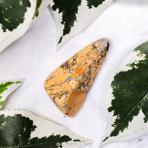 May include: A yellow and black bumblebee jasper stone with a pointed shape. The stone has a natural, rough texture.