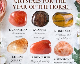 Crystals for Year of the Horse / Carnelian Garnet Tiger's Eye Citrine Quartz Red Jasper Sunstone / Chinese Zodiac Horoscope Gift Crystal Set