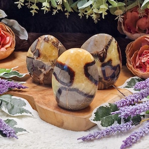 Septarian Sculpture / Polished Free Form Natural Rock Decoration Interior Nugget Gemstone Geode Stone Cluster Crystal Spiritual Altar Dragon
