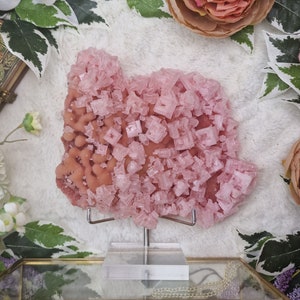 Pink Halite Cluster USA / Adjustable Display Stand Geode Gemstone Interior Crystal Decoration Specimen  Museum Mineral California Mojave