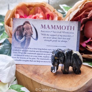 以下が含まれることがあります： 黒と白で彫刻された小さなマンモスの置物。置物は木製の表面の上に置かれています。カードのテキストには、「マンモス 祖先 生存 保護」と「祖先の支えがあって、私は決して一人ではありません。彼らの愛と強さが私を常に導いてくれます。」と書かれています。