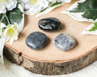 Picasso Jasper Pocket Stone - Palm Stone - Hand Stone Cabochon Natural Polished Crystal Gemstone Flat Disk Tumbled Healing Worry Rock Slab