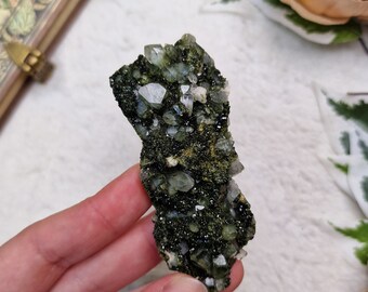 May include: A cluster of green and clear crystals on a dark gray matrix. The crystals are clustered together in a random pattern, with some of the crystals being more prominent than others. The matrix is rough and textured, and the crystals are shiny and translucent.