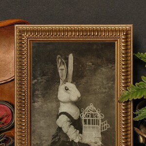 Der Vogelkäfig. Kunstdruck in den Größen 13 x 18 cm und 20 x 25 cm
