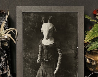 Puede incluir: Una fotografía vintage en blanco y negro en un marco gris oscuro muestra a una persona con un vestido largo negro y una máscara de cabeza de cabra. La foto está sobre un fondo oscuro.