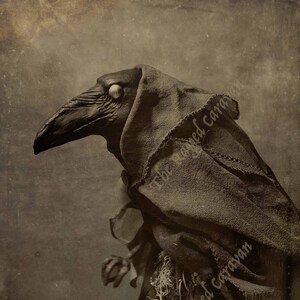 The Raven Necromancer Fine Art Print In Sizes 5 X 7 And 8 X 10 Etsy