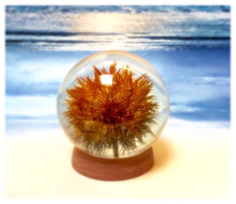 Dandelion Keepsake. Large Sparkling Orange Black Oregonian Etsy