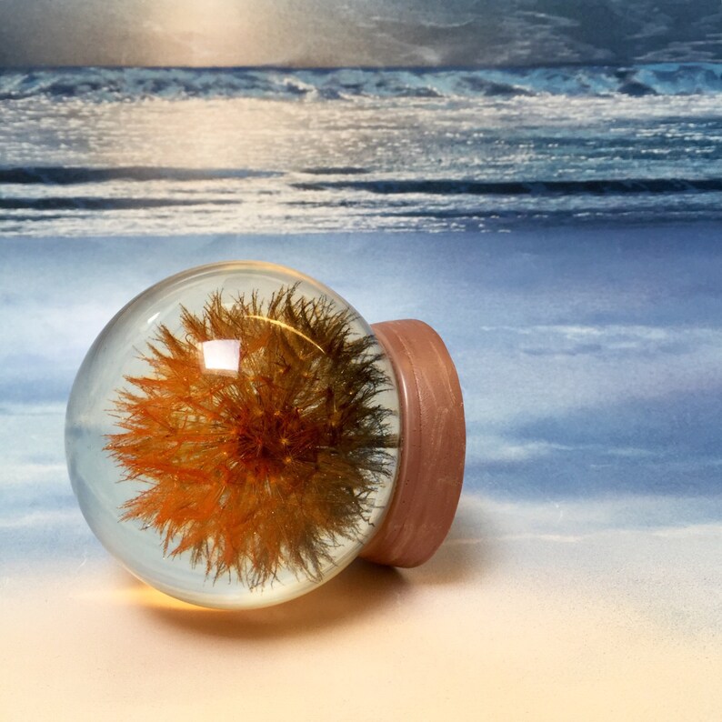 Dandelion Keepsake. Large Sparkling Orange Black Oregonian Etsy