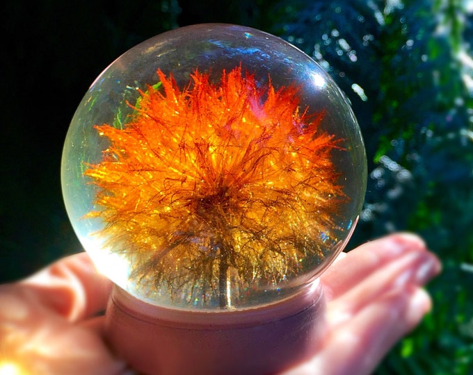 Dandelion Keepsake. Large Sparkling Orange Black Oregonian Etsy