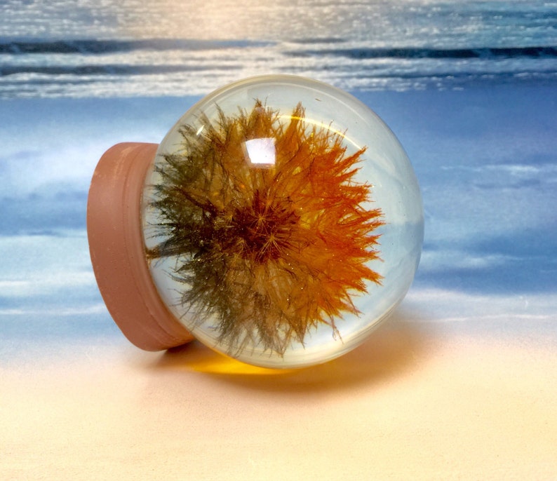 Dandelion Keepsake. Large Sparkling Orange Black Oregonian Etsy