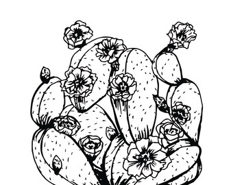 cactus coloring page etsy