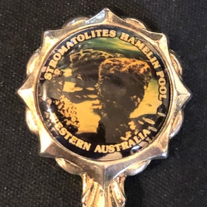 Stromatolites Hamelin Pool, Western Australia (top) on Silver Plated Souvenir Spoon - NEW