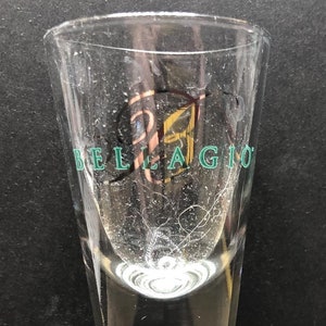 Bellagio, Las Vegas, Nevada on 1oz Glass Shot Glass - NEW