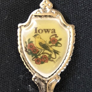 Iowa with State Bird & Flower (top) Map (Schüssel) Souvenir Schaufel Löffel - gebraucht