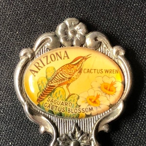 Arizona with Cactus Wren and Saguaro Cactus Blossom (top) on Silver Plated Souvenir Spoon - NEW