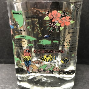 Karibische Inseln und Karte und Vögel und Blumen auf 2 Unzen quadratischem Glas Schnapsglas - NEU