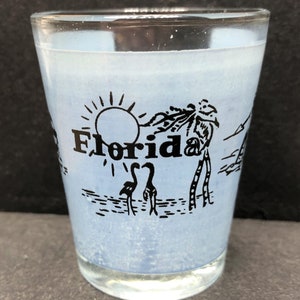 Florida with Two Flamingos and Other Water Scenes on 1oz Glass Shot Glass - NEW