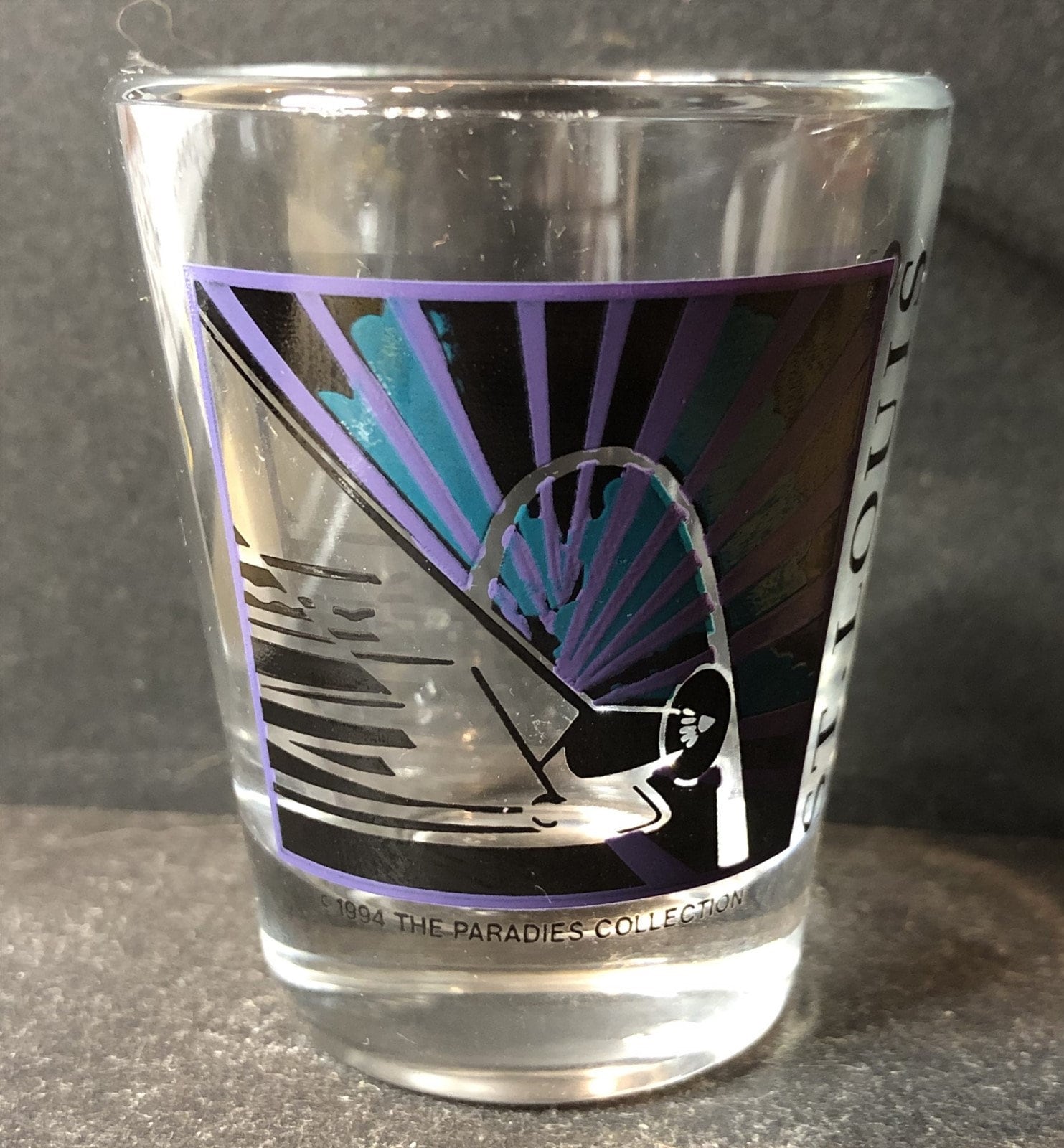 2019 Stanley Cup  Frosted Shot Glasses – Gifts St.Louis