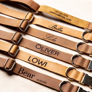 Pup of Honor - Personalized Distressed Leather Dog Collar With Metal Buckle and Optional Leash