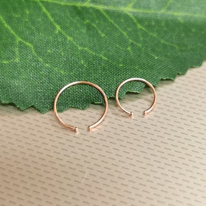 Puede incluir: Se muestran dos anillos de nariz de oro rosa. Cada anillo es un círculo abierto simple con una pequeña bola en cada extremo. Los anillos son de diferentes tamaños. El fondo es una hoja verde y una superficie de color claro.