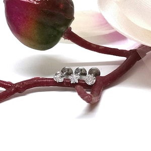 Clear Cubic Zirconia Heart Star Round Earring Helix Tragus Labret Cartilage Stud Bar Steel Silver 16g 1.2mm -  Guaranted Non Allergic