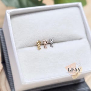 May include: Three seahorse-shaped body jewellery pieces in gold, rose gold, and silver. The jewellery is displayed inside a white box with a soft, neutral interior. The seahorses are small and detailed, with a curved body and a textured surface.