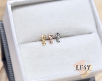 Tiny Seahorse Push In Labret Stud: 20G Threadless Steel Helix, Tragus, Cartilage Earrings