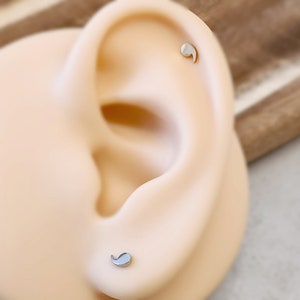Delicato 20g / 0,8mm senza filettatura Push In Swirl acciaio argento oro rosa Stud / cartilagine Labret Tragus Stud Helix / Conch Stud Orecchino