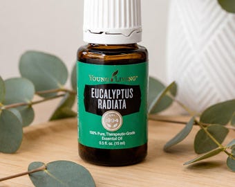 Aceite esencial de eucalipto radiata Young Living 15 ml