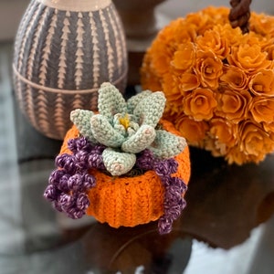 Succulent Pumpkin Planter Crochet Pattern