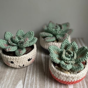 Rosette Succulent Crochet Pattern image 7