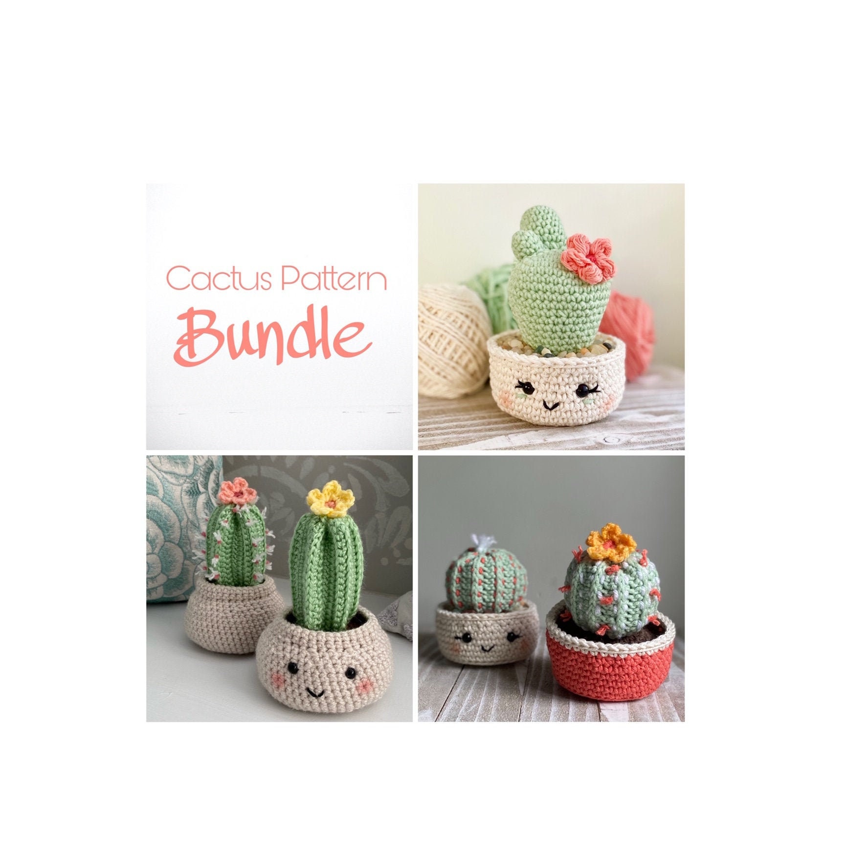 39 Free and Paid Crochet Cactus Patterns You’ll Want To Try 19 Cactus Pattern Bundle