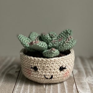 Rosette Succulent Crochet Pattern image 3